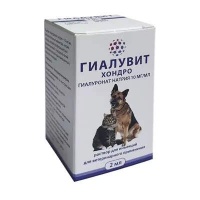Гиалувит Хондро, 2 мл