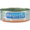Farmina Vet Life Паштет для кошек Convalescence, 80 г
