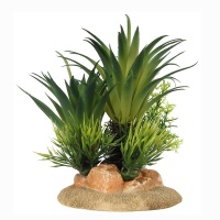 AQUA DELLA Растение для аквариумов "Sago Palm", 13,5x10x16см