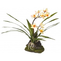 LUCKY REPTILE Декоративное растение "Orchid white"